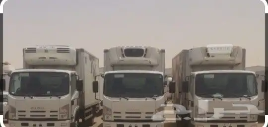 تأجير دينا تبريد و تجميد 2023 0