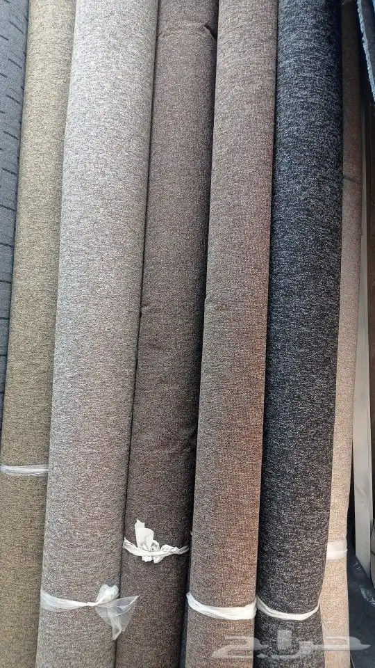 موقعنا فى بيشه 8