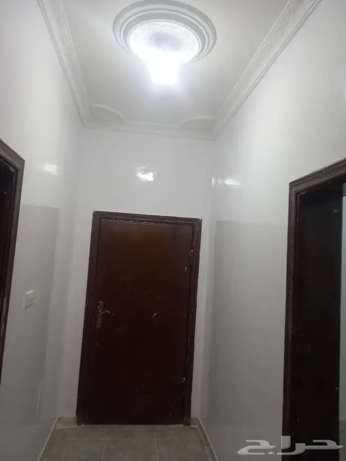 دهان زيتي حريري اليمتد جوده ونعومه ولمعه 3