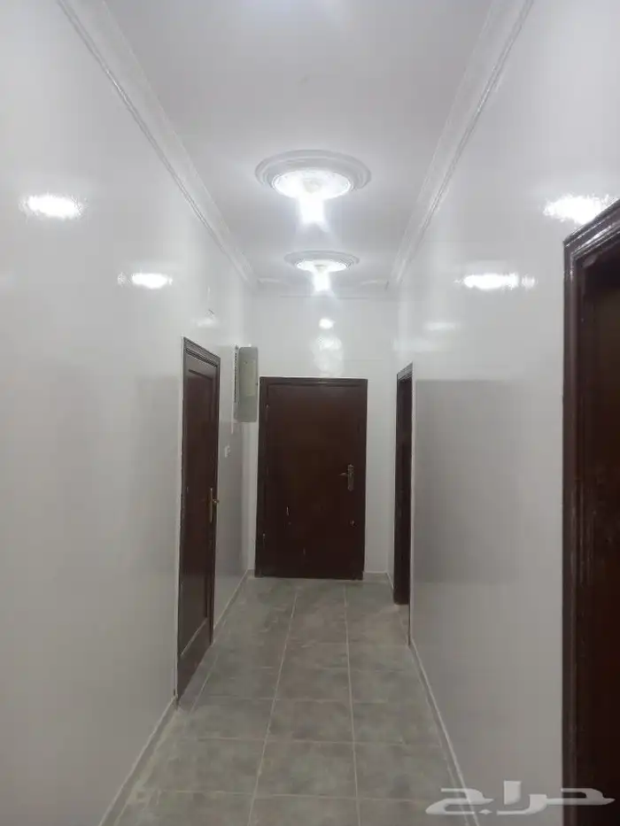 دهان زيتي حريري اليمتد جوده ونعومه ولمعه 2