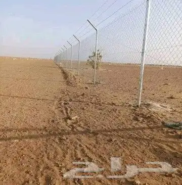مقاول شبوك و زراعه نخيل 4