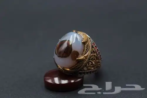 خواتم نخبة الفضة 8