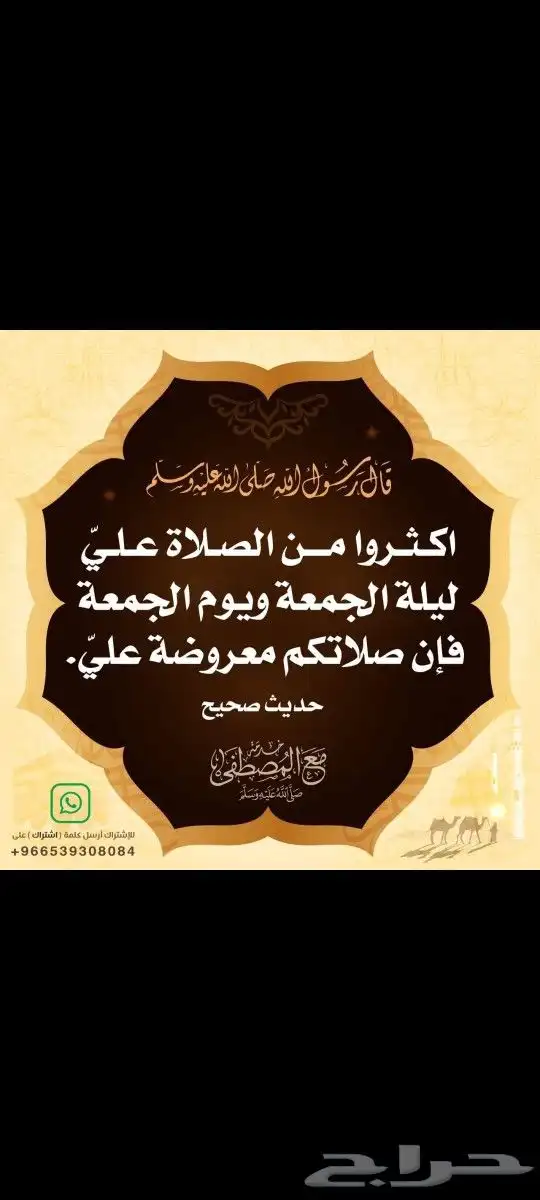 ذبيحتك حري فاخر وسواكني لباب بيتك خرفان 0