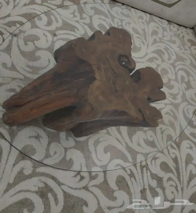 طاوله جذع شجركامل تحفه معالج على زجاج مغامن فوق 1