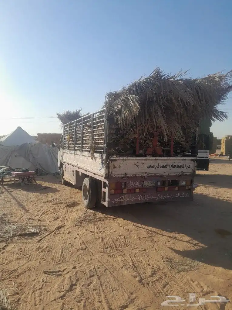 الرياض الجنادريه. 0