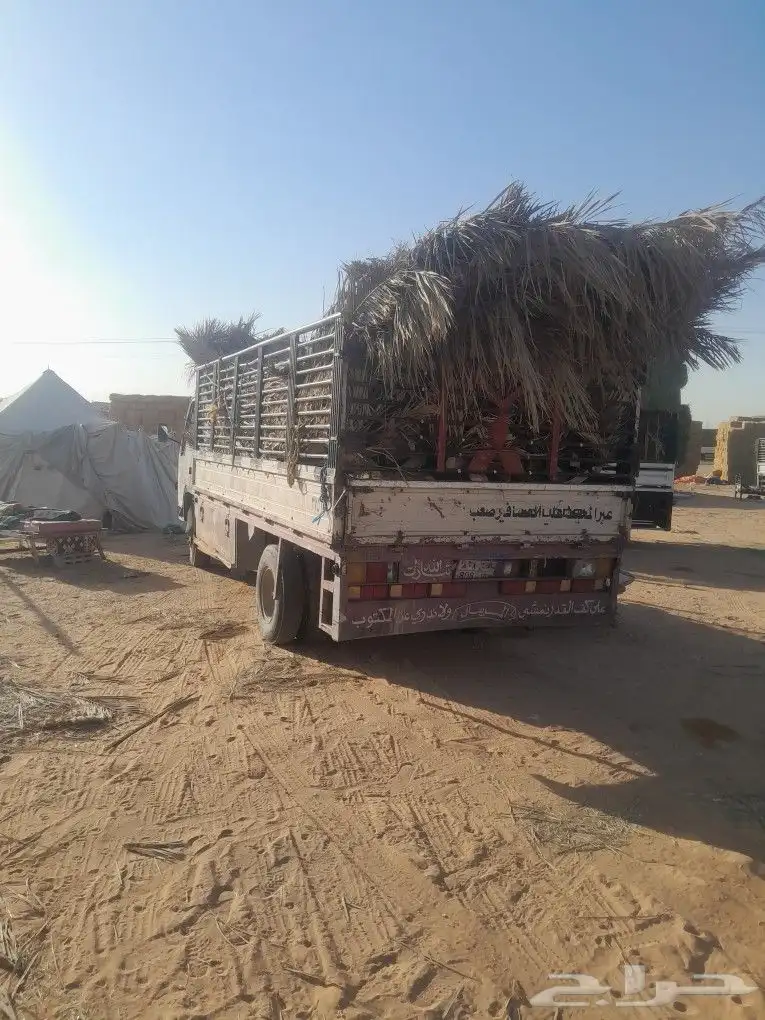 الرياض الجنادريه. 1