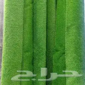 موقعنا فى بيشه 16