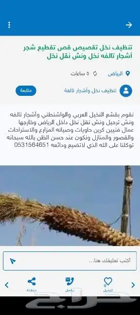 قص اشجار وتنظيف الحدائق وترحيل المخلفات ونخيل 16