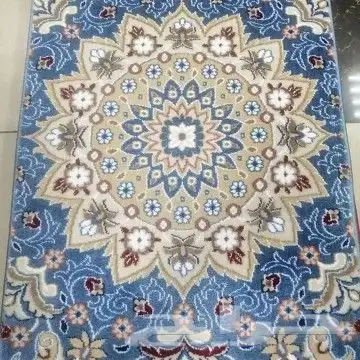 موقعنا فى بيشه 0