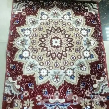 موقعنا فى بيشه 1