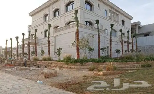 غرس النخل الواشنطني ولعربي 0