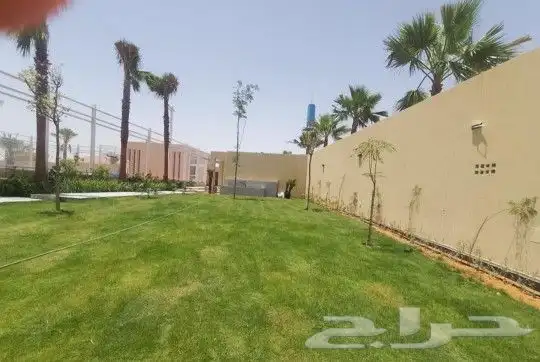 غرس النخل الواشنطني ولعربي 3