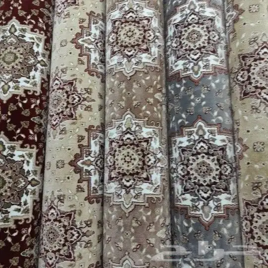 موقعنا فى بيشه 5