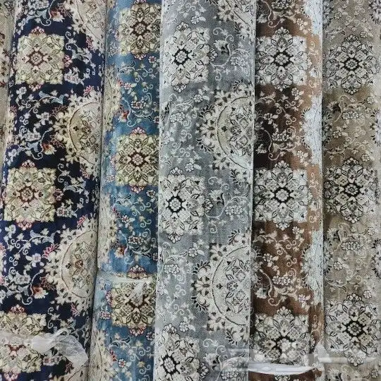 موقعنا فى بيشه 7