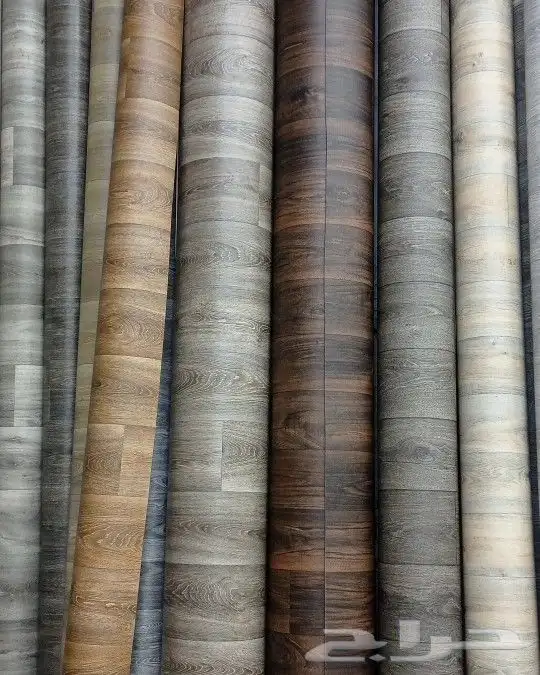 موقعنا فى بيشه 10