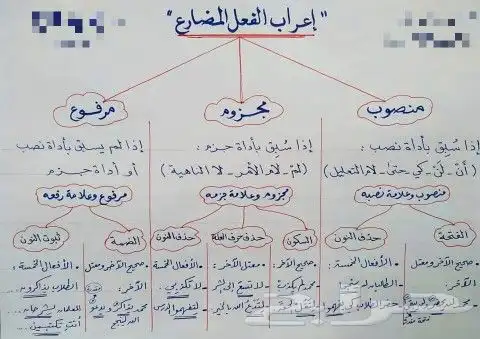 دروس خصوصية لغة عربية معلم خبير جميع المراحل 1