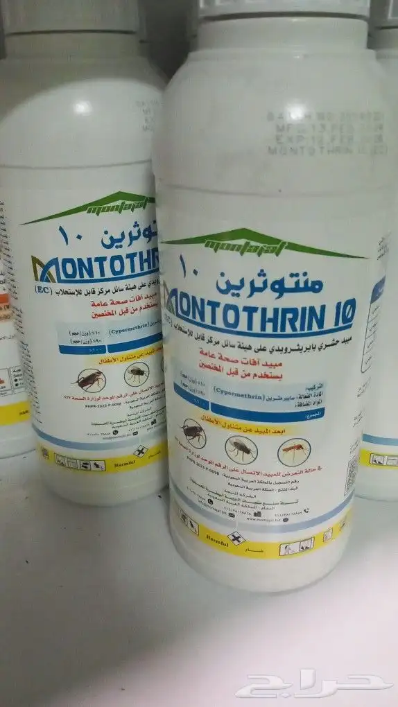 شركة مكافحة حشرات ورش مبيد بالدمام 4