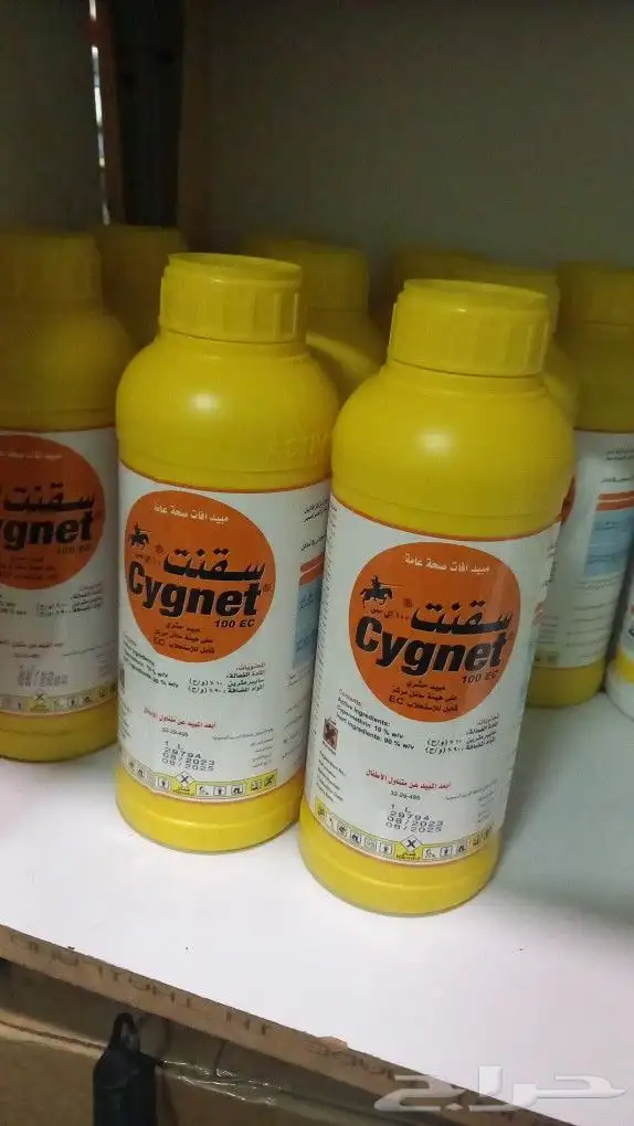 شركة مكافحة حشرات ورش مبيد بالدمام 5