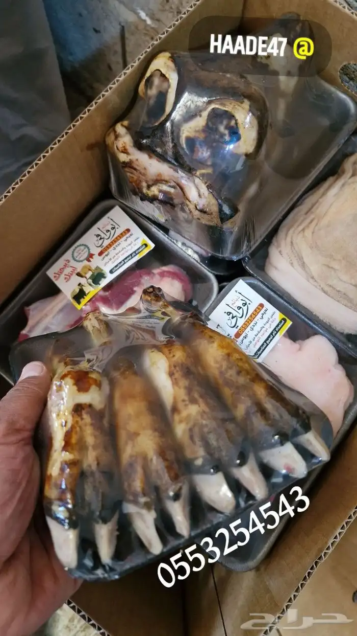 ذبايح هرافي وتيوس 1