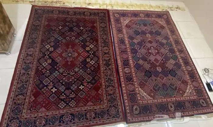 سجاد ايراني اعمارها 60سنه 4