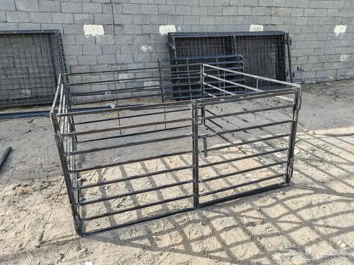 شبوك غنم زناقة خيول شبوك ابل 6