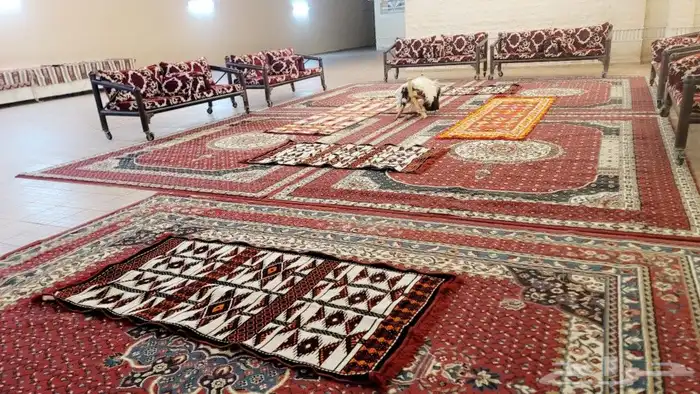 تاجير جلسات شعبيه اليوم الوطني السعودي 10
