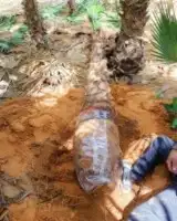 فن حدائق وعشب صناعي وزرع طبيعي 8