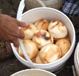 جبن بلدي يمني 0