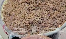 زبيب اسود يمني للوز بلدي خولاني زبيب رزقي يمني ثوام ذكر يمني 2