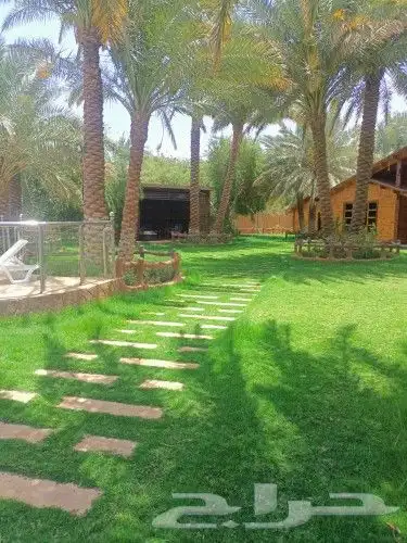 فن حدائق وعشب صناعي وزرع طبيعي 9