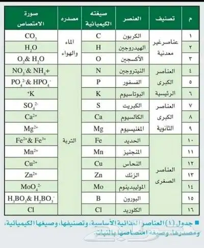 ازولا خضراء و العناصر الضروريه لتكاثرها 1