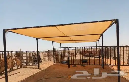 مظلات حلال مظلات ابل بدون اطناب 1
