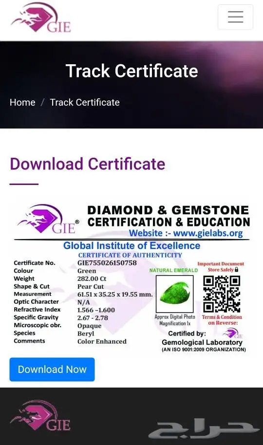 زمرد زامبيا طبيعي VVS 4