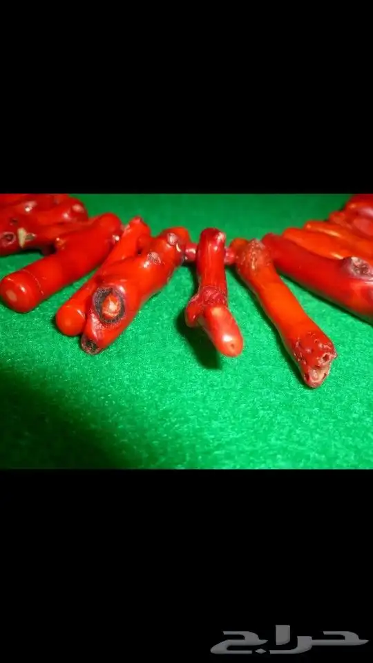 عقد مرجان أحمر طبيعي 7