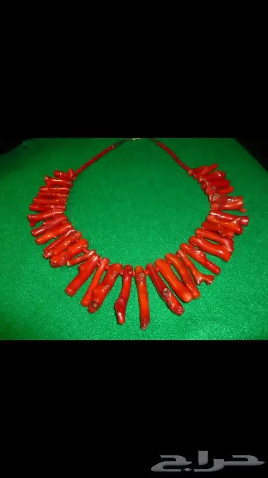 عقد مرجان أحمر طبيعي 4