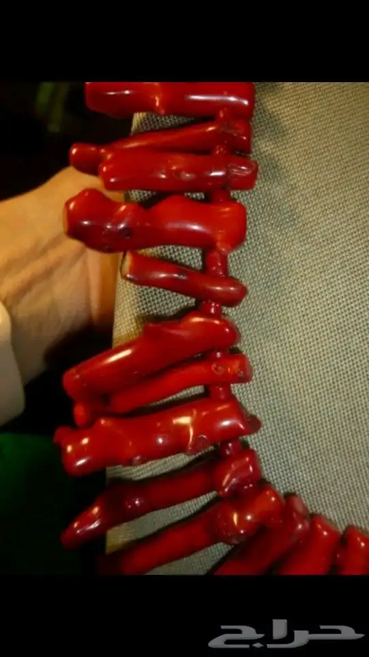 عقد مرجان أحمر طبيعي 5