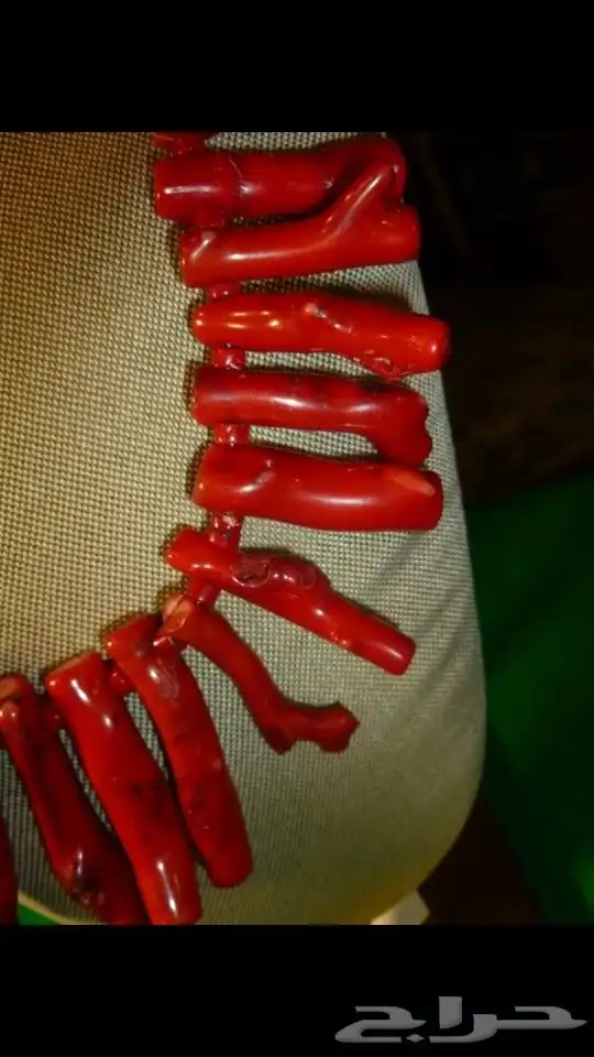 عقد مرجان أحمر طبيعي 1