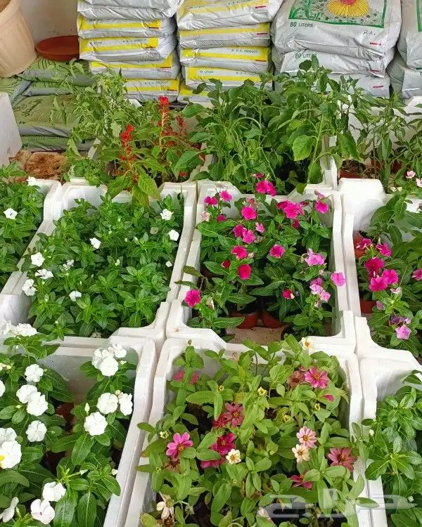 فن حدائق وعشب صناعي وزرع طبيعي 7