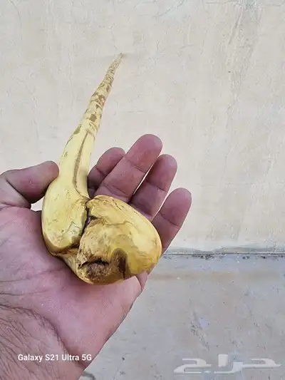 عصا من شجر الرمان ( تم البيع ) 0