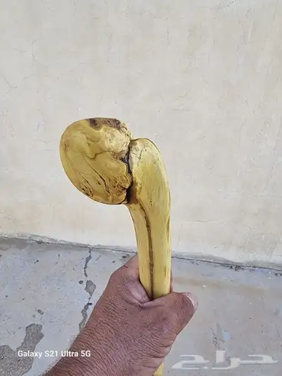 عصا من شجر الرمان ( تم البيع ) 2