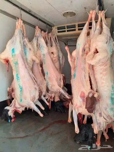 واحة_اللحوم لبيع اللحوم الطازجة 1
