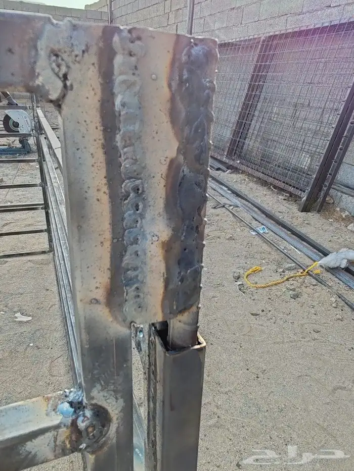 شبوك غنم زناقة خيول شبوك ابل 7