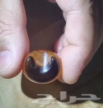 فصوص سليماني بوهلال 4