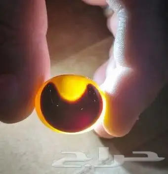 فصوص سليماني بوهلال 3