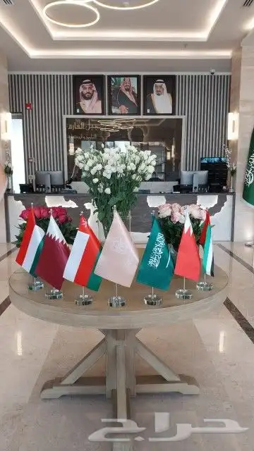اعلام السعوديه 4