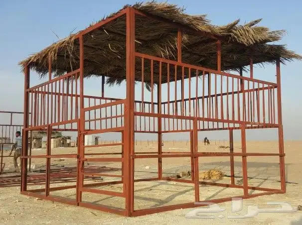 شبوك الرياض 0