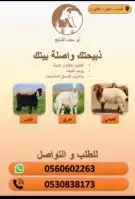 اضاحي شامل ذبح وتوصيل للحجز 0