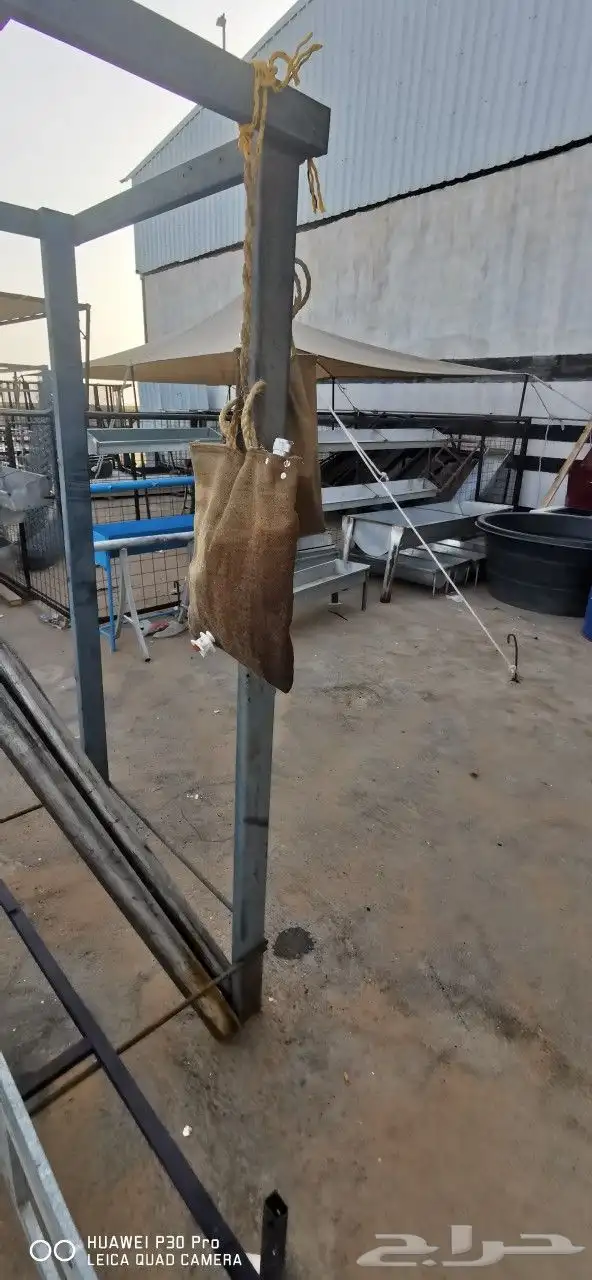 مضلات سيارت حلال أبل 10