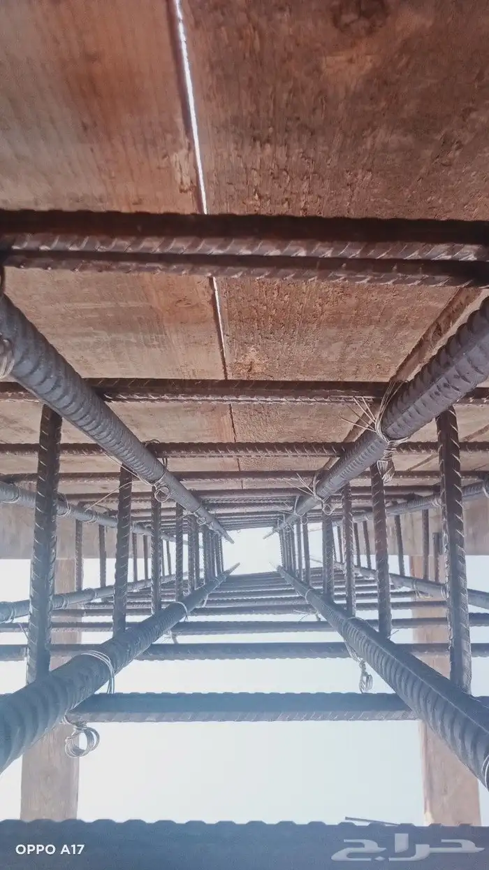 مقاول مصري 2