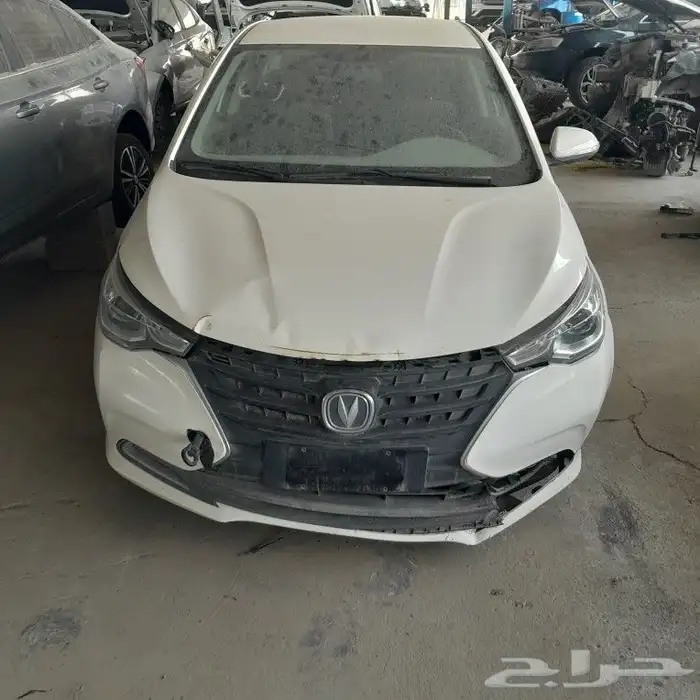 شانجان سفن 2023 0